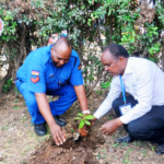 Green Footprint Initiative