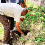 Untitled design (22)